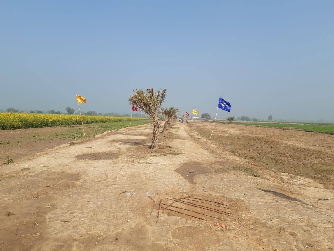 Plotted land with roadside plantation